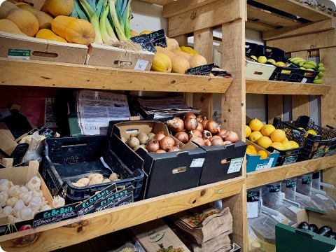 frutas y verduras ecologicas