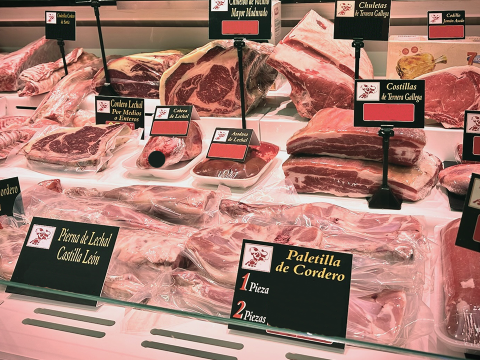 Rafael Liarte 6 rafael liarte-1