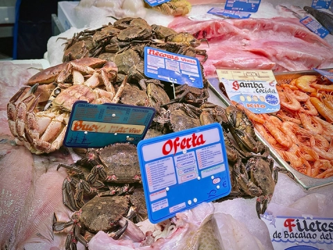 marisco la flor del mar