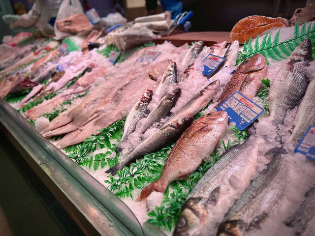 pescados tomas rodiguez mostrador 006