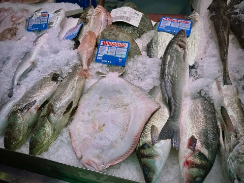 pescados y mariscos la flor del mar (1)