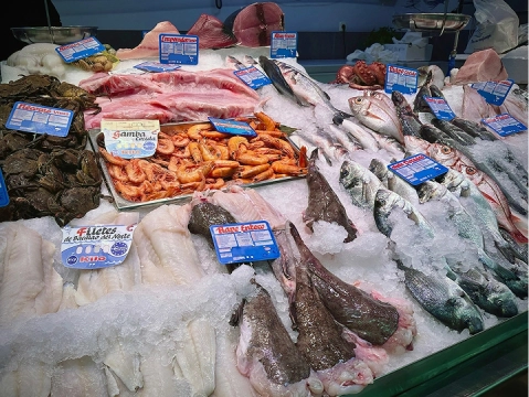 pescados y mariscos la flor del mar