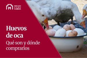 huevos de oca polleria arganzuela riopinoso