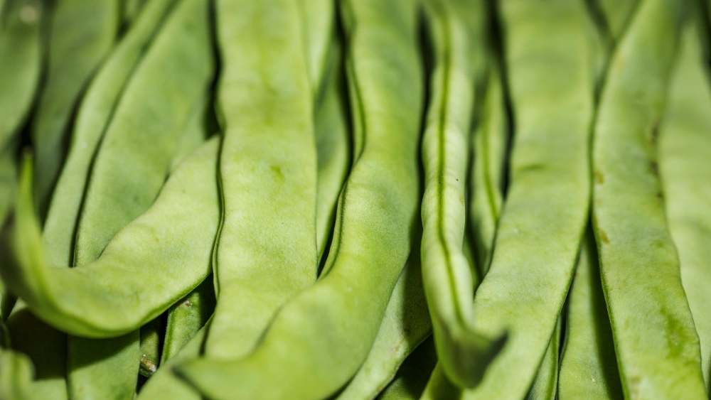 Verduras de primavera: las mejores hortalizas de temporada para tu cocina 3 judias verdes verduras primavera