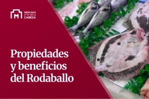 propiedades beneficios rodaballo