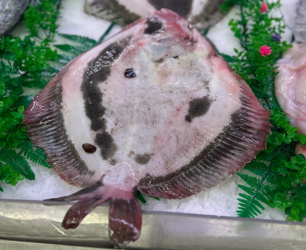 rodaballo pescaderia arganzuela madrid jose del moral
