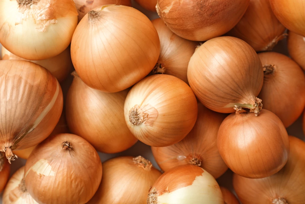 cebollas