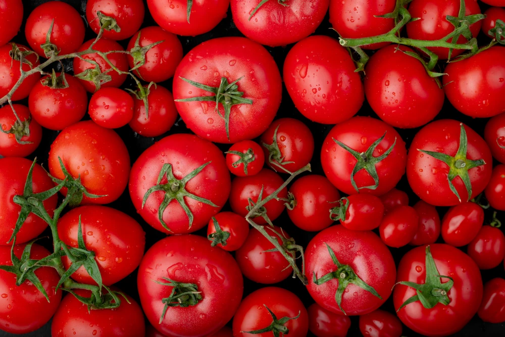 tomates rojos rama