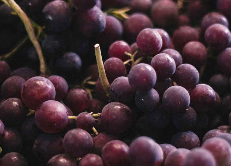Las 8 mejores frutas de otoño que no pueden faltar en tu mesa 2 uvas frutas otono